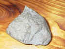 It's a ROCK!