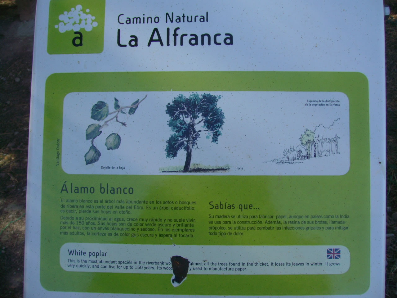 Sitios de citas en sant pere de riudebitlles Sitios de citas en sant pere de riudebitlles