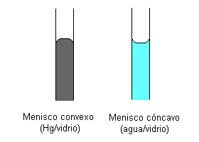 Meniscos