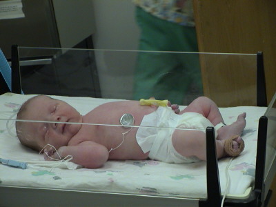 Zander Taylor Quinley