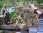 compost area