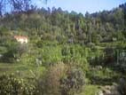 quinta do boico