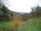 valley