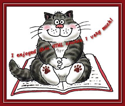 cat sitting on a book