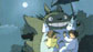 totoro