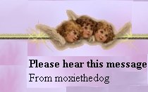 please