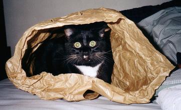 Boots in a Bag