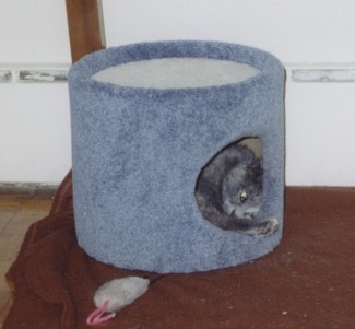 Condo Curl Up