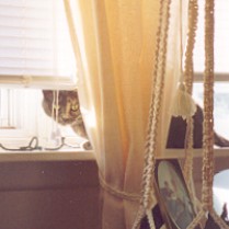"You can't see me!"