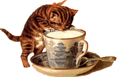 My Cat