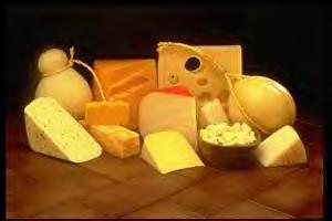 Ummm.....Cheese