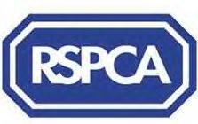 Click Here For The Rspca Webbie