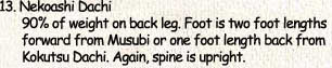 13. Nekoashi Dachi       90% of weight on back leg. Foot is two foot lengths       forward from Musubi or one foot length back from       Kokutsu Dachi. Again, spine is upright.