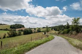 land