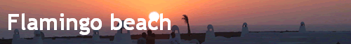 Flamingo beach