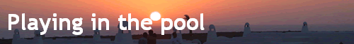 Playing in the pool