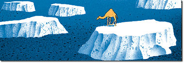 to the Great Climate Flip-Flop