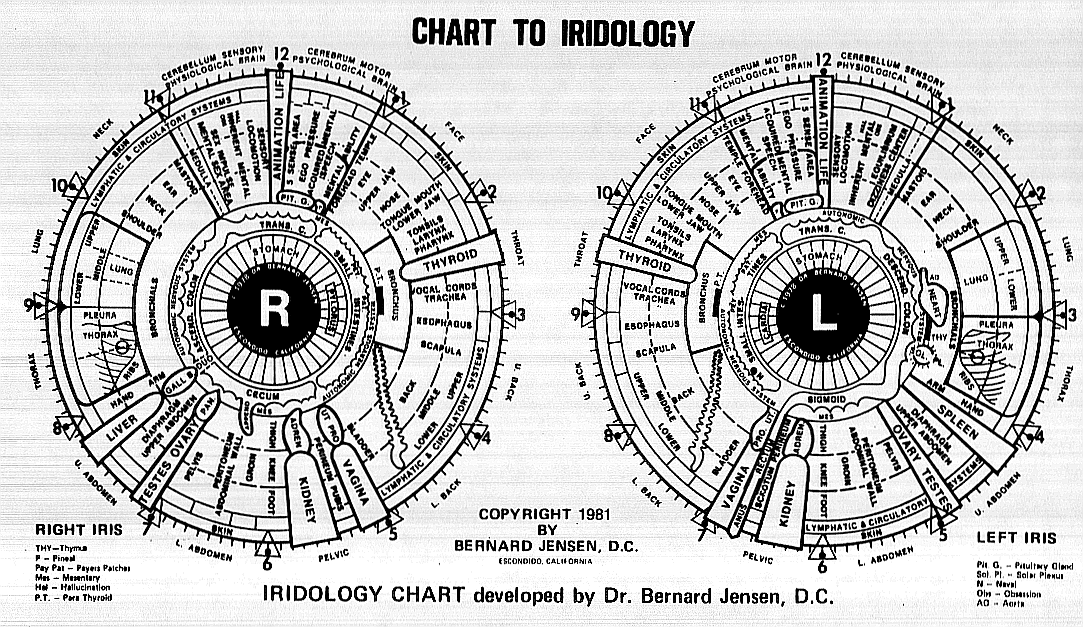 here's your free iridology chart