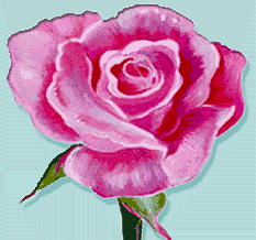 a rose by any other name - to meditation