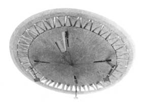 a photo of a Searle disc in flight