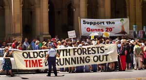 save the irreplaceable Old Growth trees of life NOW