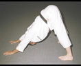 Matthews sensei - down dog yoga posture