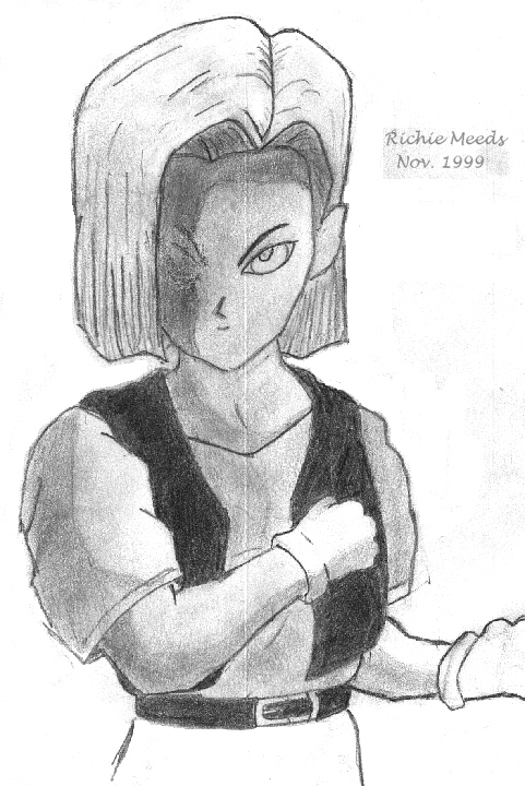 DBZ PICTURE,Why do you need me to tell you that it is a PICTURE!