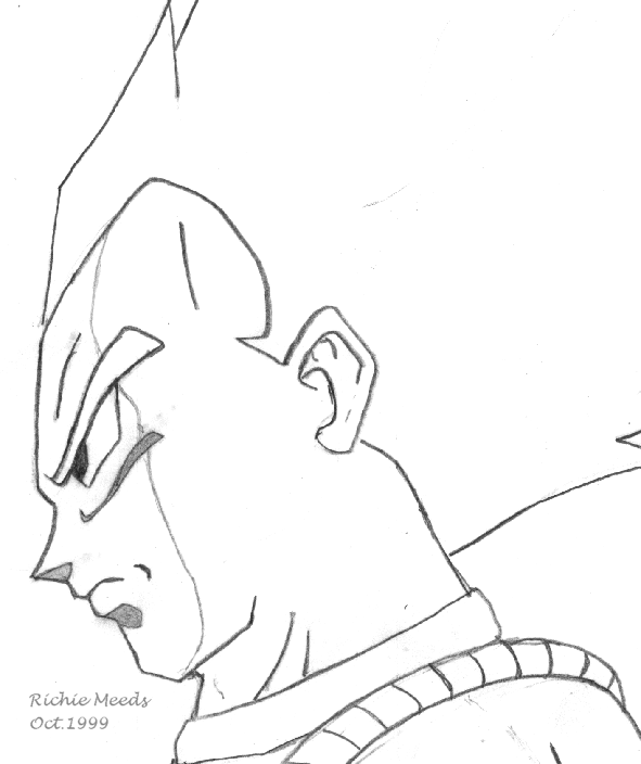 DBZ PICTURE,Why do you need me to tell you that it is a PICTURE!