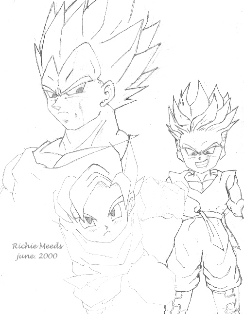 DBZ PICTURE,Why do you need me to tell you that it is a PICTURE!