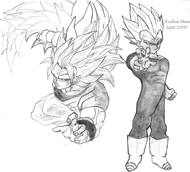 DBZ PICTURE,Why do you need me to tell you that it is a PICTURE!