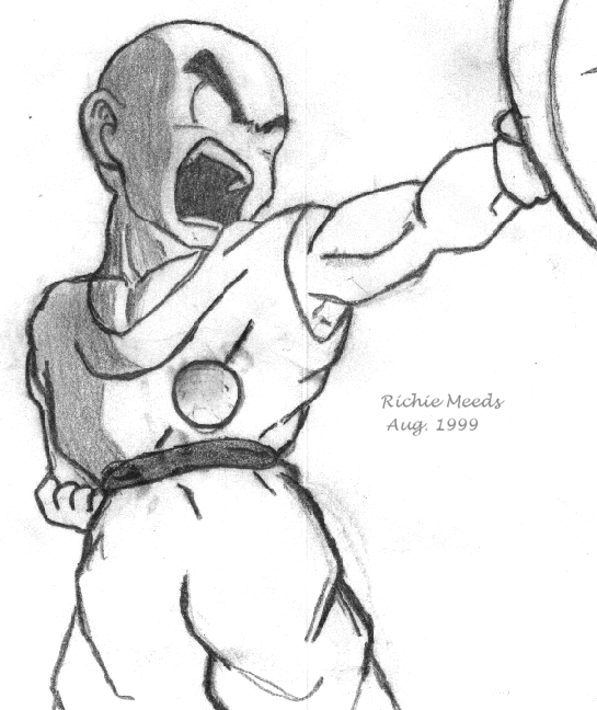 DBZ PICTURE,Why do you need me to tell you that it is a PICTURE!