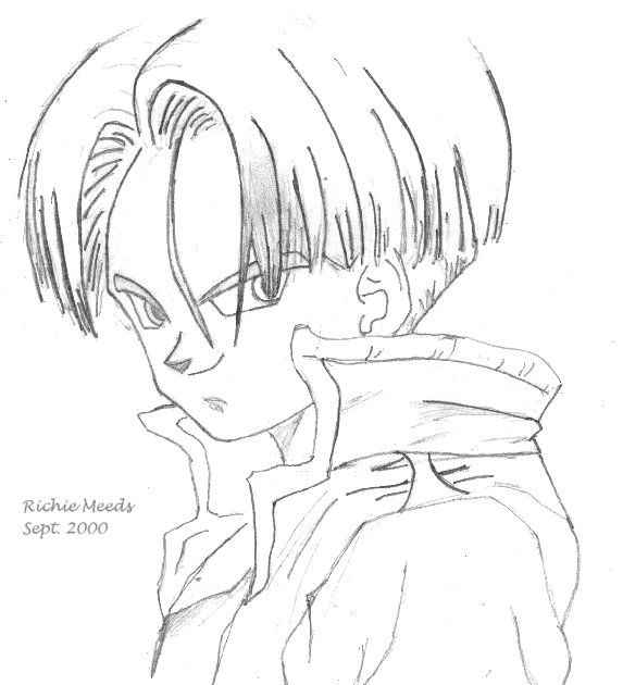 DBZ PICTURE,Why do you need me to tell you that it is a PICTURE!