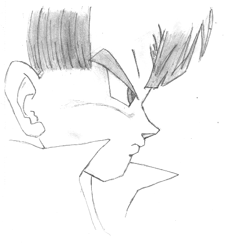 DBZ PICTURE,Why do you need me to tell you that it is a PICTURE!