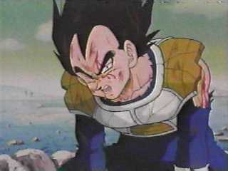 DBZ PICTURE,Why do you need me to tell you that it is a PICTURE!