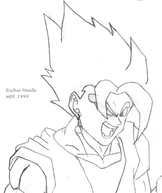 DBZ PICTURE,Why do you need me to tell you that it is a PICTURE!