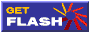 Flash Player