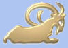 sign of the capricorn