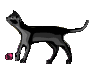 sign of the cat