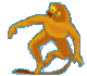sign of the monkey