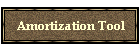 Amortization Tool