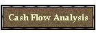 Cash Flow Analysis