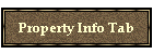 Property Info Tab