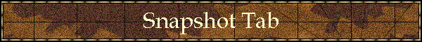Snapshot Tab