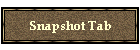 Snapshot Tab