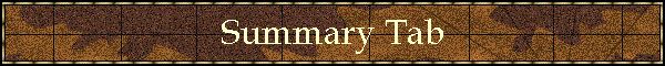 Summary Tab