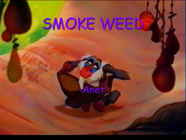 Anets motto