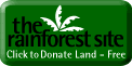 rainforest.gif (2952 Byte)