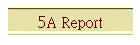 5A Report
