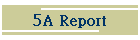 5A Report