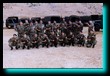 -Click image for full size view-